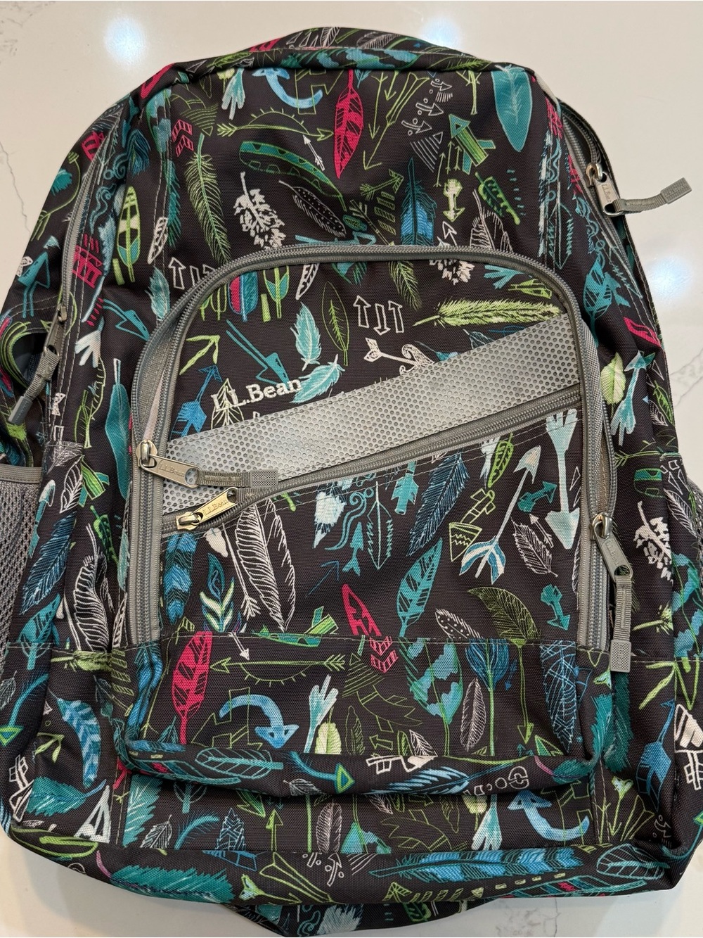 LL Bean Feathers Arrows Gray Backpack Pink Blue Multi Pocket Full Sized, School